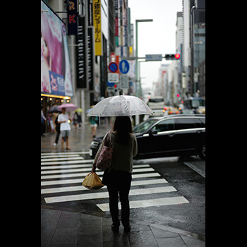 Kurs online vs kurs praktyczny: który wybrać przy budowie domu szkieletowego