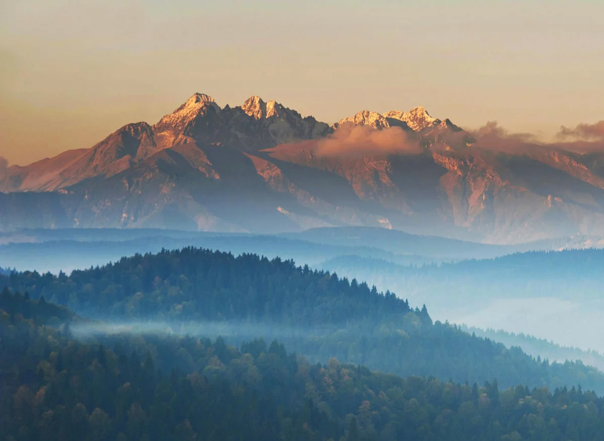 Portal dla nauczycieli: Nowoczesne Narzędzie Wsparcia w Edukacji